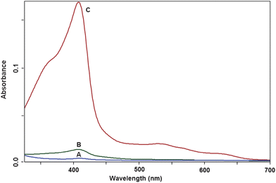 UV-vis absorption spectra of supernatant solution (after centrifugation at 2500 rpm for 5 min) of the RBCs fixed in glutaraldehyde 2% (A), mix of formaldehyde 3%–glutaraldehyde 0.1% (B), and formaldehyde 3% (C) following storage of the cells in fixative solution for 24 h.