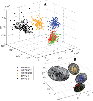 (A) Pseudo-3D discriminant function plot of DF1 vs. DF2 vs. DF3 based upon the training set (coloured filled circles) and independent test set (coloured empty squares) and (B) pseudo-3D discriminant function plot with 95% confidence ellipsoids.