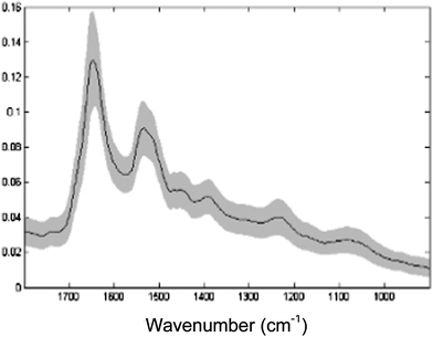The average spectrum (black) ± standard deviation (grey) of the whole single-cell spectral dataset after vector normalisation and EMSC correction and of the spectral range 900–1800 cm−1 used for analysis.