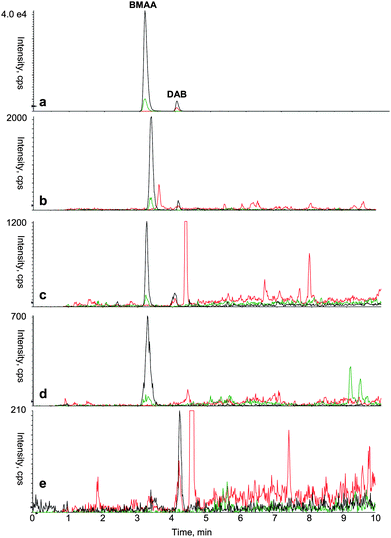 Typical mass spectrum acquired using HPLC-MS/MS based analytical protocol to identify BMAA and DAB in various types of samples. (a) Standard of derivatized BMAA (0.35 μg L−1) and DAB (0.35 μg L−1) (b)Leptolyngbya PCC 73110 (laboratory cyanobacterial culture) (c)Ostrea edulis (oyster) (d)Coreganus lavaretus (white fish) (e)Brassica oleracea (broccoli). Color legend for SRM transition: 459.1 > 119.1 (black); 459.1 > 258.1 (green); 459.1 > 188.1 (red).