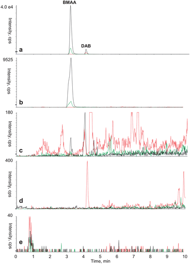 Typical mass spectrum acquired using HPLC-MS/MS based analytical protocol to identify BMAA and DAB in various biological matrixes. (a) Standard of derivatized BMAA (0.35 μg L−1) and DAB (0.35 μg L−1), (b) seeds from C. revoluta, (c) field sample of mixed cyanobacteria, (d) standard of Bovine Serum Albumin (BSA) and (e) procedural blank. Color legend for SRM transition: 459.1 > 119.1 (black); 459.1 > 258.1 (green); 459.1 > 188.1 (red).