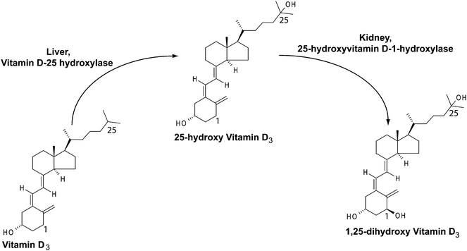 Competitive surface-enhanced Raman scattering assay for the 1,25-dihydroxy  metabolite of vitamin D 3 - Analyst (RSC Publishing) DOI:10.1039/C0AN00354A