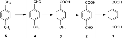 Stepwise oxidation of p-xylene to terephthalic acid.