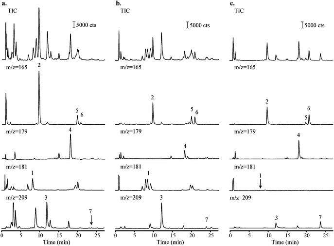 Total and extracted ion chromatograms of (a) urban PM2.5 extract (b) DPM extract and (c) GPM extract. For analytical conditions and peaks identification see Fig. 1 and Table 1.