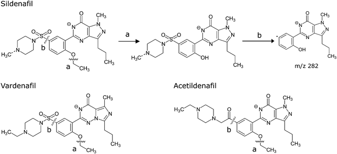 Proposed fragmentation of sildenafil, vardenafil and acetildenafil. (a) Neutral loss of ethylene. (b) Homolytic bond cleavage and formation of radical fragment ions.