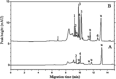 Electropherograms for unspiked (A) and spiked (B) apple samples at 20 ng g−1 of each pesticide obtained by DLLME-sweeping MEKC. The experimental conditions and peak identifications are the same as in Fig. 6, and u represents unidentified peaks.