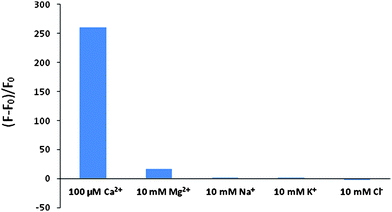 Ion responses to Compound 8. The maximum relative fluorescence intensity was measured for Compound 8 in the presence of different ions. The results were plotted as fluorescence changes relative to ion-free reference solution expressed as (F − F0)/F0 where F0 is the fluorescence intensity of ion-free solution while F is that of ion-containing solutions. Ion-free reference solution contains 10 mM EGTA.