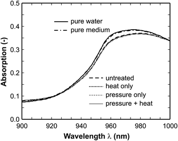 Enlarged absorption spectra in the range 900–1000 nm (untreated: 106 cells/mL, heat, pressure, combination: completely inactivated (6 log reduction)). The spectra of pure water and the pure medium form the upper branch and all other spectra overlap with each other forming the lower branch.