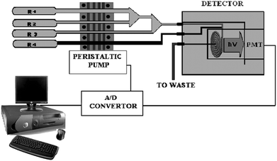 Schematic diagram of the continuous-flow manifold. R1, analyte; R2, fluorescein solution + CTAB; R3, NaOH solution; R4, NBS solution; PMT, photomultiplier tube.