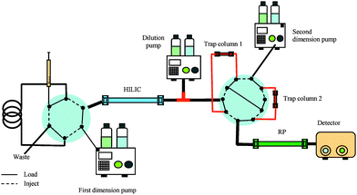 An on-line HILIC-RP column-switching system with two trap columns, using a diluter pump between the first and second dimension in order to dilute the HILIC eluate containing a high percentage with ACN.