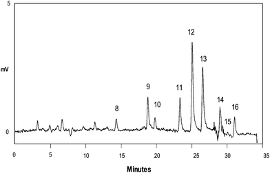 Determination of PAHs in a drinking water sample (Torino, Italy) with the developed SPE–HPLC protocol. Chromatographic and detection conditions as for Fig. 2(b). For SPE conditions, see method E. Peaks: 8. pyrene (1 ng L−1), 9. benzo(a)anthracene (3 ng L−1), 10. crysene (1 ng L−1), 11. benzo(b)fluoranthene (2 ng L−1), 12. benzo(k)fluoranthene (2 ng L−1), 13. benzo(a)pyrene (2 ng L−1), 14. dibenzo(a,h)anthracene (2 ng L−1), 15. benzo(g,h,i)perylene (1 ng L−1), and 16. indeno(1,2,3-c,d)pyrene (1 ng L−1).