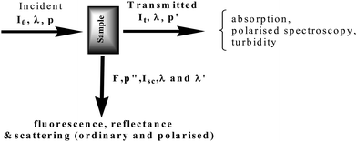 Parameters measured in a multimode optical spectrometer.