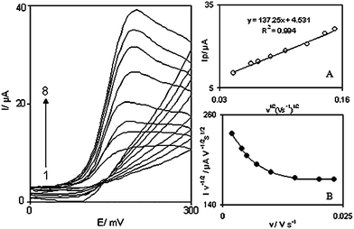 Cyclic voltammograms of a DOHMCPE in 0.1 M phosphate buffer (pH 7.0) containing 1.0 mM DA at different scan rates, numbers 1 to 8 correspond to 2, 6, 10, 15, 18, 23, 25 and 30 mV s−1 scan rates, respectively. Insets: (A) Variation of the electrocatalytic currents versus the square root of scan rate. (B) Variation of the scan rate normalized current (Ip/v1/2) with scan rate.