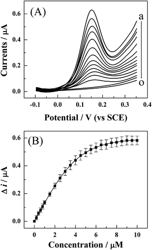 (A) The effects of the concentration of target DNA (S2) on the DPV response of the FcA–S1/S2-modified gold electrode after cleavage by BamHI. The concentration of S2 for the curve (a) to (o) is 0, 0.1, 0.5, 1.0, 1.5, 2.0, 2.5, 3.0, 4.0, 4.5, 5.0, 7.0, 9.0, and 10.0 μM, respectively. (B) The plot of value of Δi on the concentration of target DNA. Δi is the value of the DPV response of FcA before and after digestion with BamHI endonuclease. Every point is an average value of five independent measurements.