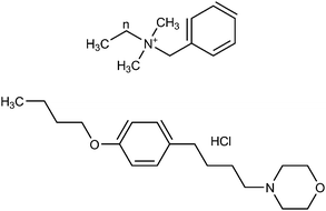 Chemical structures of benzalkonium chloride (n = length of alkyl chain) (top) and pramoxine hydrochloride (bottom).