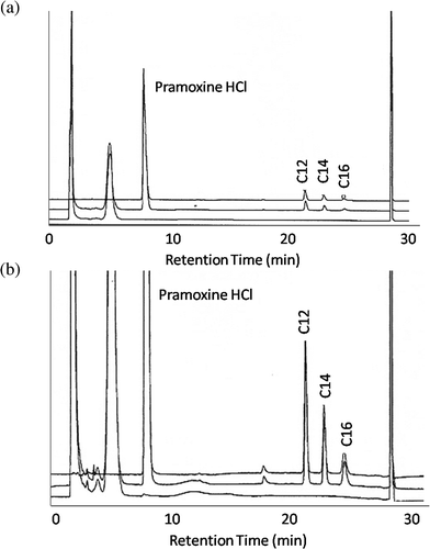 Overlay chromatogram of placebo (bottom), sample (middle) and standard (top). (a): Full scale chromatogram (b): expanded chromatogram.