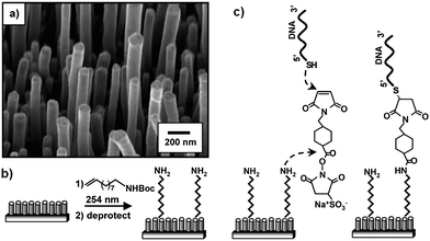 (a) SEM image (taken at a 25° tilt) of a VACNF substrate. (b) Schematic of photochemical functionalization method to produce amino-terminated surface. (c) Schematic of the method used to covalently link amino-modified VACNFs to thio-modified DNA (reproduced with permission from Ref. 48 and 49).