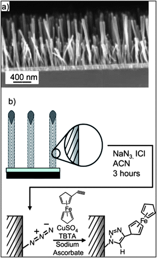 (a) SEM image of vertically aligned carbon nanofiber cross-section. (b) Reaction scheme of ferrocene attachment to the VACNF surface (reproduced with permission from Ref. 53).