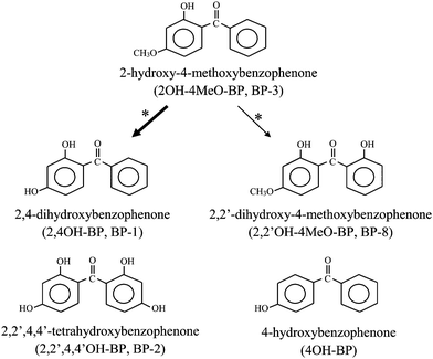 Chemical structures of the benzophenone-type UV filters analyzed in this study. *Metabolic pathway of BP-3 was suggested from some experimental studies (The thickness of arrows indicates that BP-1 is mainly formed from BP-3).