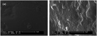 Scanning electron microscopy image of the CS hybrid layer coated composite matrix before (a) and after (b) treated with ammonia solution.