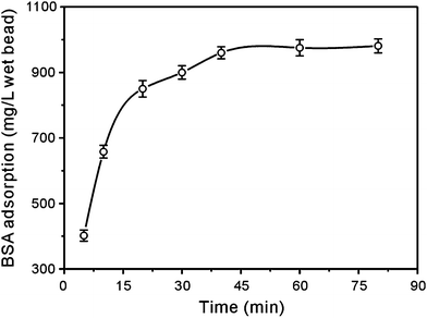 Kinetic curve of BSA adsorption on the immobilized metal affinity adsorbent.