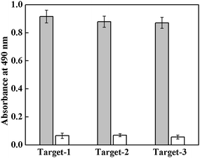 Hybridization of target oligonucleotides (Target-1, Target-2 and Target-3) with their respective complementary (Probe-1, Probe-2 and Probe-3) immobilized-probe. A random target oligonucleotide sequence was used as control for non-specific hybridization.