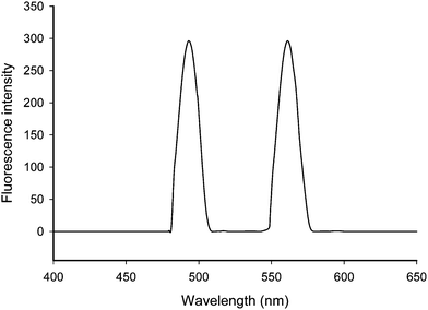 Excitation and emission spectra of fluorescent ion-pair complex.