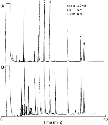 GC chromatograms of six kavalactone standards (A) and a typical kava extract (B).