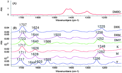 FTIR spectra of DMSO (A) and six individual kavalactones (B). Note: The absorbance of DMSO was subtracted from the spectra of the kavalactones. The spectrum of DMSO shows weak absorbance bands in the range of 1100–1800 cm−1.