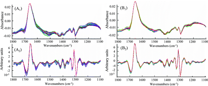 FTIR spectra of 50 standard mixtures of six major kavalactones. (A1): calibration sets, (A2): 2nd-derivation of (A1), (B1): kava root and rhizome extracts and (B2): 2nd-derivation of (B1).