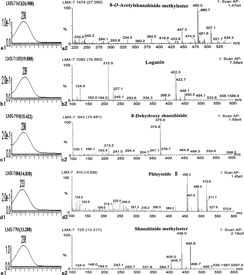 UV spectra and negative ion APCI mass spectra of five standard iridoid glycosides in LR: 8-O-acetylshanzhiside methyl ester (a1, a2), loganin (b1, b2), 8-deoxyshanzhiside (c1 c2), phloyoside II (d1, d2), and shanzhiside methyl ester (e1, e2).