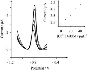 Typical square wave anodic stripping voltammetric profiles resulting from a recovery experiment of cadmium(ii) in real (dilute) human oral (saliva) fluid. Parameters: deposition potential of −1.2 V (vs. SCE), deposition time of 200 seconds.