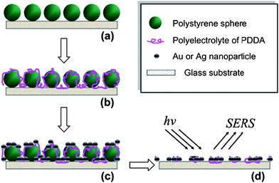 Schematic representation of deposition process by using LbL self-assembly and NSL: (a) PS spheres array on a glass substrate, (b) deposition of polyelectrolyte, (c) assembly of Au or Ag nanoparticles, and (d) nanowell array after removing PS templates.