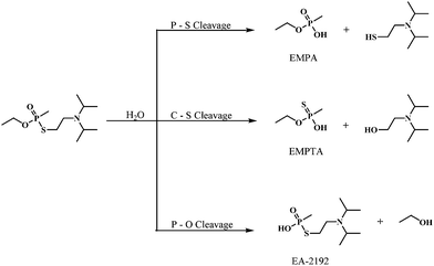 Hydrolytic pathways of VX.