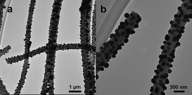 TEM images of Pd/CNF composites at (a) low and (b) high magnifications.