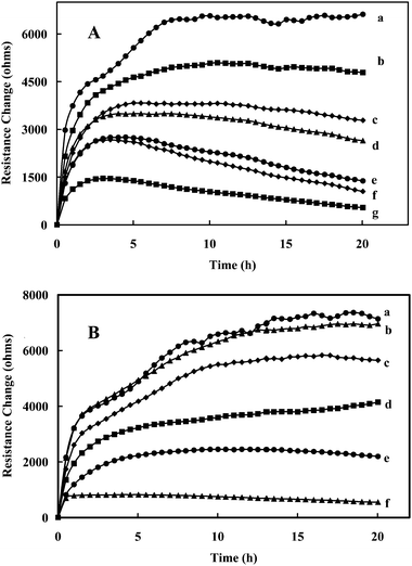 (A) Increase in resistance response (ΔRs) of Sf9 insect cells to various concentrations (µM) of 5α-lanost-8-ene-3,7,11-trione (S4): (a) 0, (b) 40, (c) 100, (d) 200, (e) 400 (f) 1000, and (g) 2000. (B) Increase in resistance response (ΔRs) of Sf9 insect cells to various concentrations (µM) of Antcin B (Zhankuic acid A) (N5): (a) 0, (b) 1.2, (c) 2.3, (d) 4.6, (e) 11.6, and (f) 23.2.