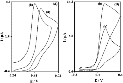 (A) Cyclic voltammograms of 0.6 mM DA in 0.1 M phosphate buffer solution (pH 7.0) at (a) Bare-CPE and (b) TNCPE. (B) Cyclic voltammograms of 0.6 mM DA in 0.1M phosphate buffer solution (pH 7.0) at (a) PBNBH-MCPE and (b) PBNBH-TNMCPE. In all cases the scan rate is 20 mV s−1.