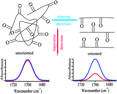 Schematic showing the different orientation of carbonyl groups in an unoriented and an oriented polyester, with the correspondent expected polarized infrared absorption spectra (red and blue traces correspond to an impinging IR beam polarized along the transverse and drawing direction, respectively).