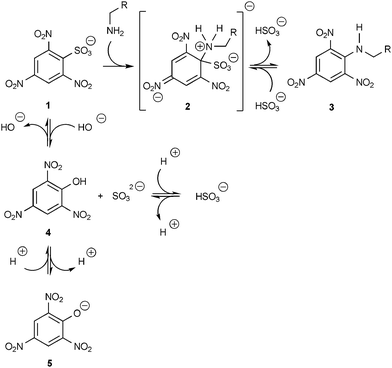 Scheme for the reaction of α-PDL with TNBS 1 involving the intermediate Meisenheimer complex 2 (λmax = 420 nm), the TNP-labeled substitution product 3 (λmax = 344 nm), and the unwanted side product picrate 5 (λmax = 355 nm).