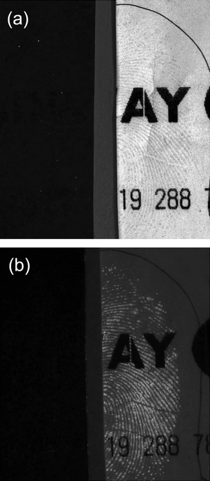 Latent fingermarks on printed thermal paper, where halves were treated with fluorous IND/ZnCl2 using (on the left) the AFP method for non-thermal papers (dipping with heating) or (on the right) the dry contact method. Photographs taken with a Nikon D300 Camera in (a) absorbance mode or (b) luminescence mode with settings; Focal length: 60 mm, Shutter Speed: 2.5 s and Aperture: f/14.
