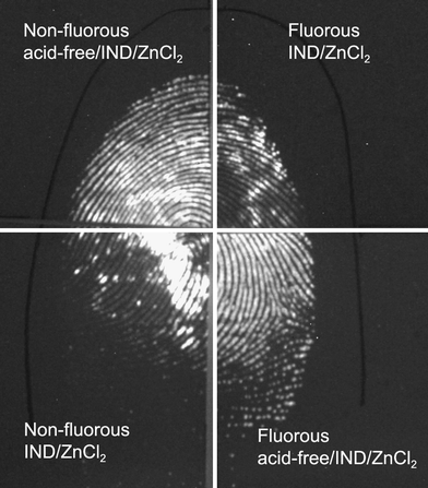 Latent fingermark on unprinted thermal paper where quarters were treated with visualisation solutions using the dry contact method. Photographs were taken using a Nikon D100 Camera in luminescence mode with settings; Focal length: 85 mm, Shutter Speed: 4 s and Aperture: f/11.