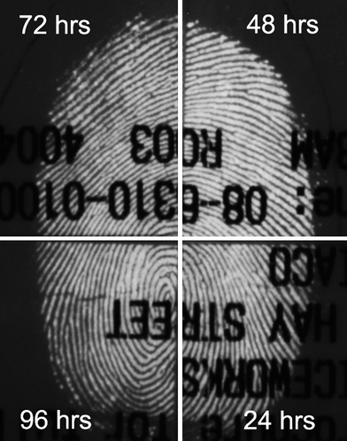 Latent fingermark on printed thermal paper where quarters were treated for different development times with fluorous acid-free/IND/ZnCl2 by the dry contact method. Photographs were taken using a Nikon D100 Camera in luminescence mode with settings; Focal length: 85 mm, Shutter Speed: 2.5 s and Aperture: f/11.