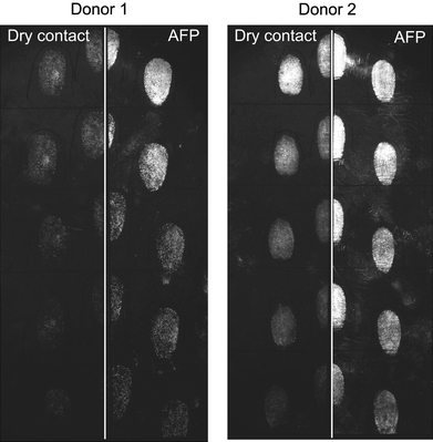 A depletion series from two donors on white photocopy paper, where halves were treated with fluorous IND/ZnCl2 using the dry contact method with additional heating or the AFP method for non-thermal papers (dipping and heat treatment). Photographs taken using a Nikon D300 Camera taken in luminescence mode with settings; Focal length: 60 mm, Shutter Speed: 1/2.5 s and Aperture: f/14. A full size version of Fig.5 is available in the ESI.