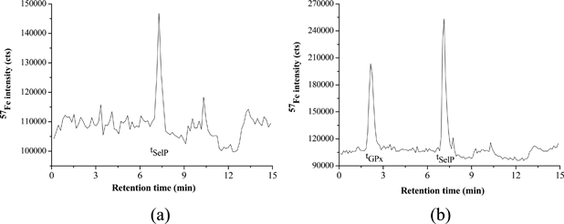 Chromatograms obtained for the analysis of immunoglobulin G (a) and apo-transferrin (b) standards by AF-HPLC-ICP-qMS (57Fe monitored) using the chromatographic details described elsewhere.5
