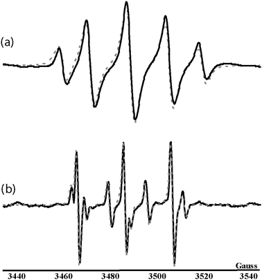 Experimental EPR signals (full lines) and superimposed simulation (dotted lines) of (a) O-adduct 3a (aN = 27.1 G, 32%) and DTBN (aN = 15.4 G, 68%) obtained from the reaction between cysteine and MNP in benzene, and (b) S-adduct 4a (aN = 18.3 G, 69%), H-adduct 5a (aN = 14.5 G, aH = 14.1 G, 21%) and DTBN (aN = 17.0 G, 10%) in aqueous medium (pH 4–5).