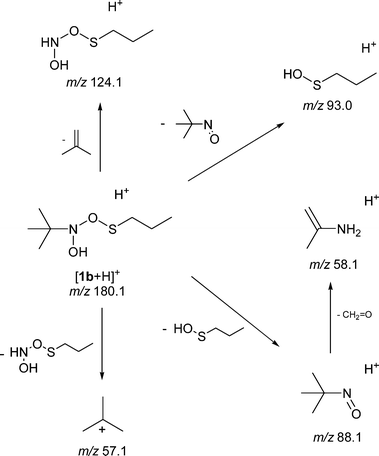 Proposed dissociation pathways of [1b + H]+ at m/z 180.1.