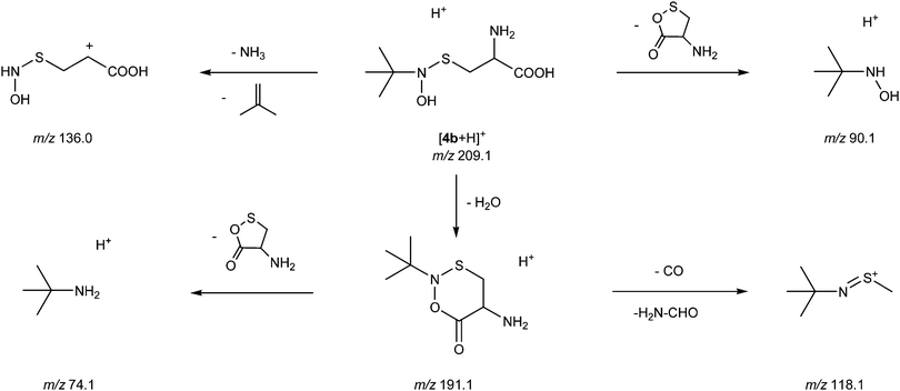 Proposed dissociation pathways of [4b + H]+ at m/z 209.1.