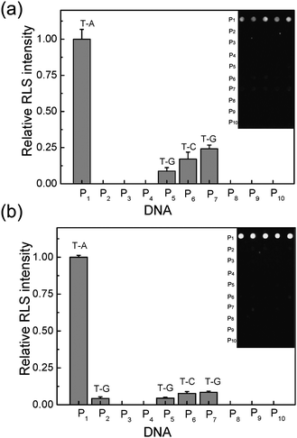 Light scattering images and the corresponding analysis for discrimination of SNPs. Ten probes (5 μM) were spotted both on the commercial 2D slide (a) and the 3D slide (b), respectively. The concentration of T is 100 nM and the concentration of DNA@GNPs is 5 nM.