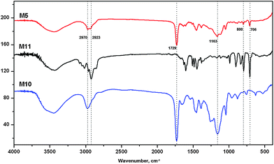 FT-IR characterization of the monoliths M5, M10 and M11.