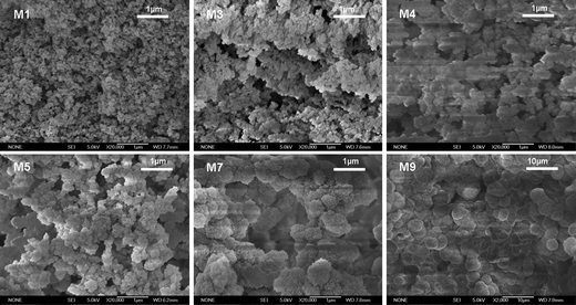 Scanning electron micrographs of the monoliths M1, M3, M4, M5, M8 (×20 000) and M9 (×2000).